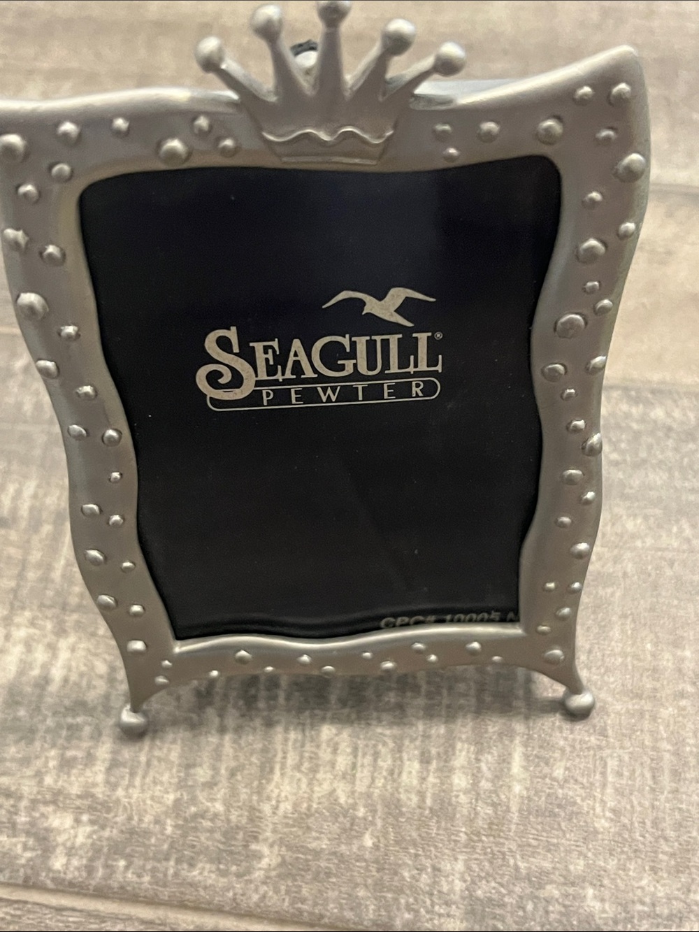 Seagull Pewter Crown Accent Photo Frame in Silver
